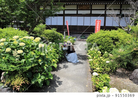 池田山山麓散策(阿梨山弓削寺)・143(岐阜県揖斐郡池田町) 池田山山麓散策(阿梨山弓削寺)・143(岐阜県揖斐郡池田町) 91550369