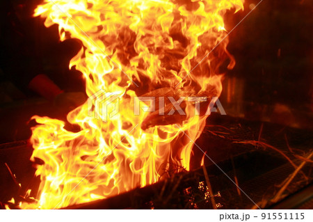 かつおのたたき かつおのたたき 91551115