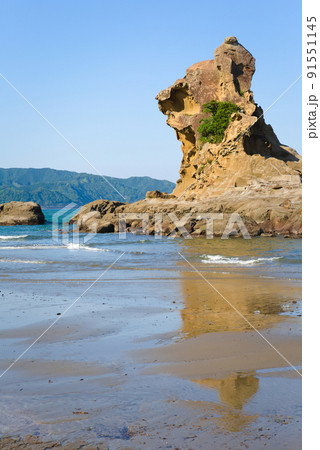 日南海岸のライオン岩 日南海岸のライオン岩 91551145