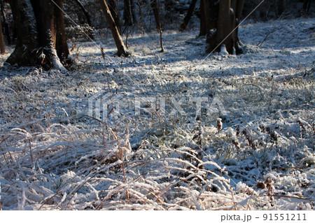 雪景気 雪景気 91551211