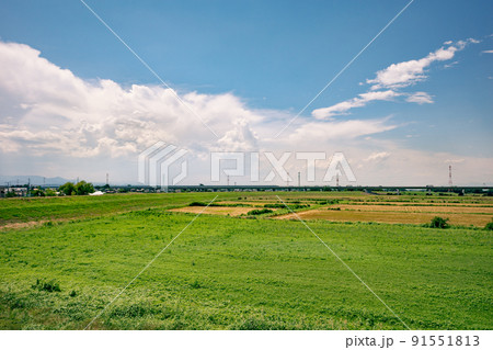 圏央道荒川橋 梅雨明けの河川敷と積乱雲と高速道路 2022.06末　a-2 ナチュラル 91551813