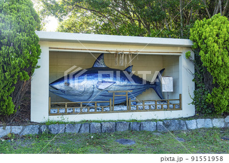 志摩市浜島町の豊漁を願うカツオのオブジェ 志摩市浜島町の豊漁を願うカツオのオブジェ 91551958