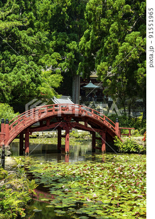 連間の池と金剛燈寺 連間の池と金剛燈寺 91551965