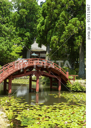 連間の池と金剛燈寺 連間の池と金剛燈寺 91551967