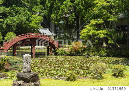 連間の池と金剛燈寺 91551969