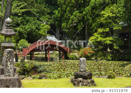 連間の池と金剛燈寺 91551970
