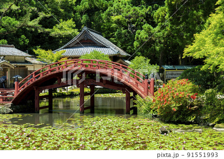 連間の池と金剛燈寺 連間の池と金剛燈寺 91551993