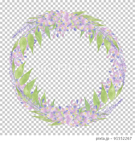 Wisteria flower wreath watercolor painting 91552267