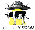 UFOにさらわれる直前の牛 91552368