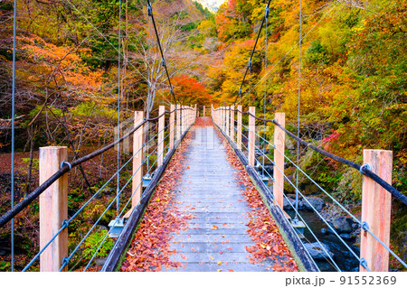 大柳川渓谷(秋):竜門橋 大柳川渓谷(秋):竜門橋 91552369