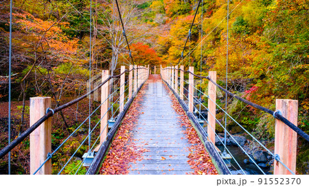 大柳川渓谷（秋）：竜門橋 91552370