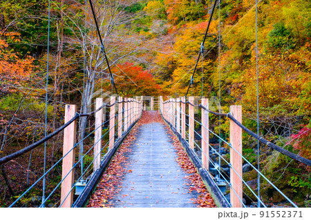 大柳川渓谷（秋）：竜門橋 91552371
