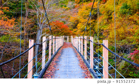 大柳川渓谷(秋):竜門橋 大柳川渓谷(秋):竜門橋 91552372