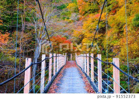 大柳川渓谷（秋）：竜門橋 91552373