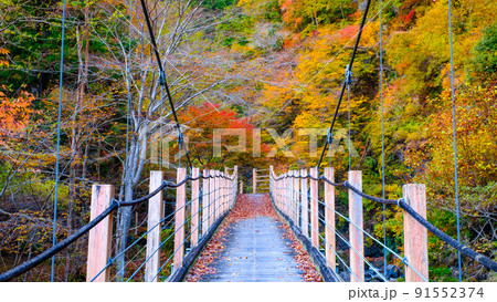 大柳川渓谷（秋）：竜門橋 91552374