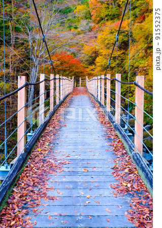 大柳川渓谷（秋）：竜門橋 91552375