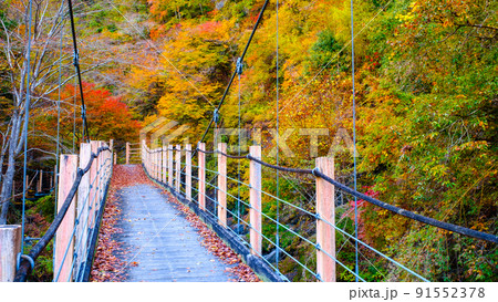 大柳川渓谷(秋):竜門橋 大柳川渓谷(秋):竜門橋 91552378