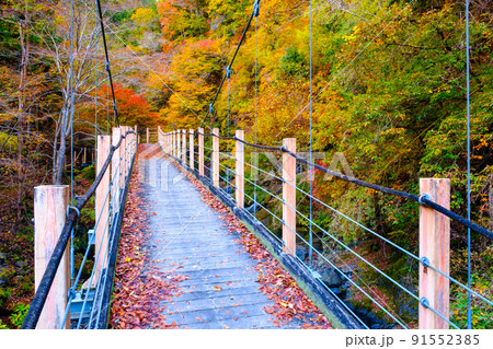 大柳川渓谷（秋）：竜門橋 91552385