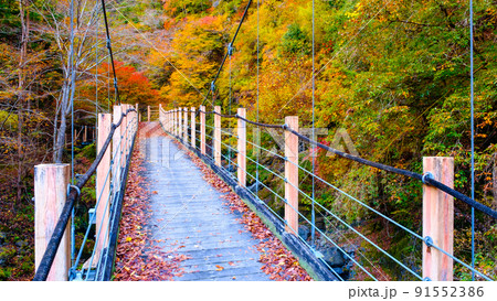 大柳川渓谷（秋）：竜門橋 91552386