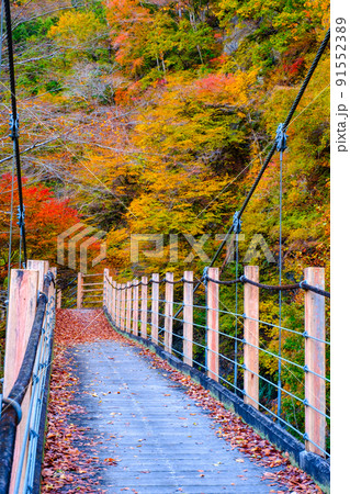 大柳川渓谷（秋）：竜門橋 91552389