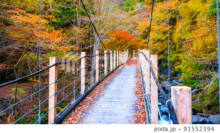 大柳川渓谷（秋）：竜門橋 91552394