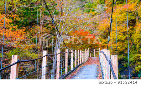 大柳川渓谷（秋）：竜門橋 91552414