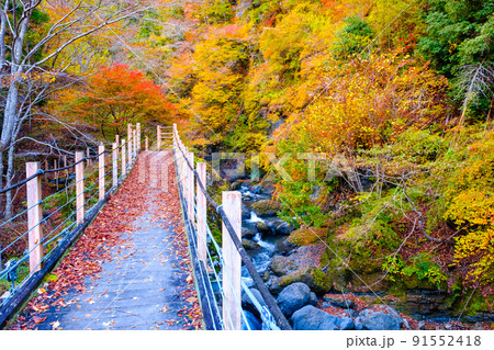 大柳川渓谷（秋）：竜門橋 91552418