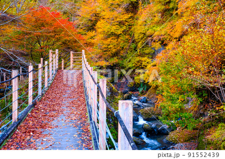 大柳川渓谷(秋):竜門橋 大柳川渓谷(秋):竜門橋 91552439