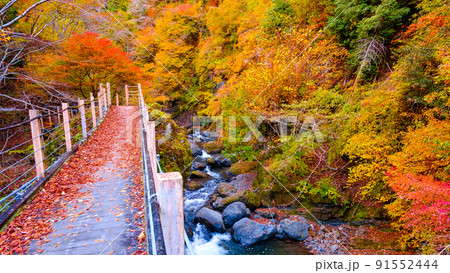 大柳川渓谷（秋）：竜門橋 91552444