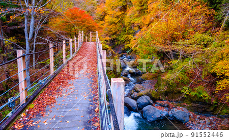 大柳川渓谷（秋）：竜門橋 91552446