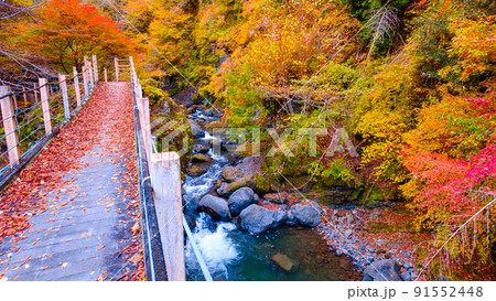 大柳川渓谷（秋）：竜門橋 91552448