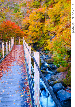 大柳川渓谷（秋）：竜門橋 91552464