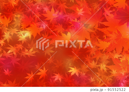 紅葉　もみじ　秋　背景 91552522