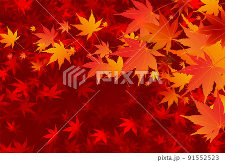 紅葉 もみじ 秋 背景 紅葉 もみじ 秋 背景 91552523