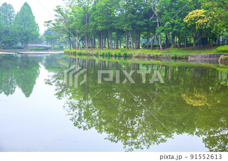 上尾丸山公園 池 水鏡 初夏の風景 上尾丸山公園 池 水鏡 初夏の風景 91552613