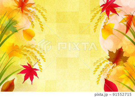 米　稲　紅葉　背景 91552715