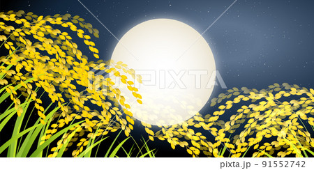 米　稲　秋　背景 91552742