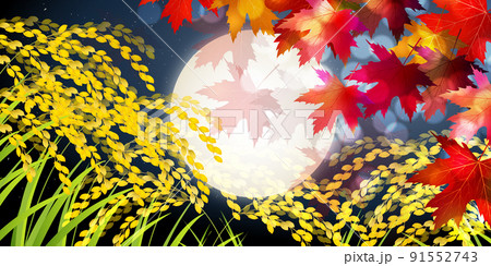 米 稲 秋 背景 米 稲 秋 背景 91552743