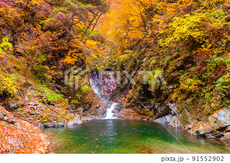 尾白川渓谷（秋）：千ヶ淵 91552902