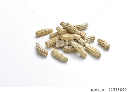 食べ物 食物 フード 91553049