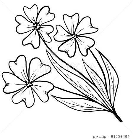 flowers black and white clip art