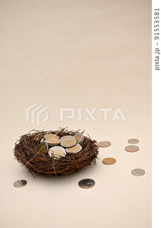Coins of Thailand in a bird nest on beige background. Money, currency concept. 91553581