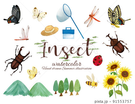 夏休みの昆虫採集の水彩画イラストセット 91553757