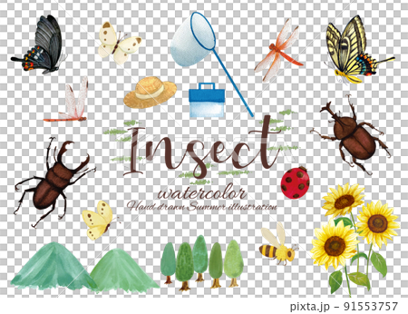Watercolor illustration set for collecting insects during summer vacation 91553757