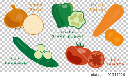 Vegetable cut illustration set 91553926