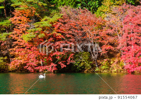 伊奈ヶ湖(秋) 伊奈ヶ湖(秋) 91554067