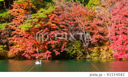 伊奈ヶ湖(秋) 伊奈ヶ湖(秋) 91554082