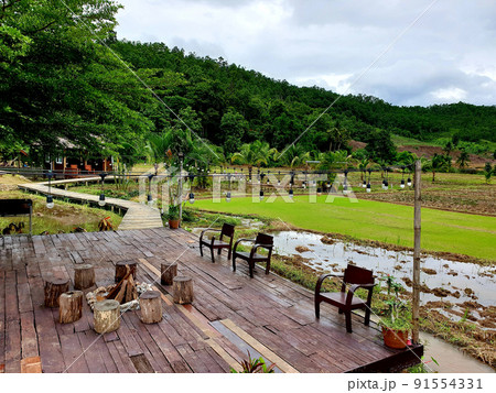 Ecology cafe in nature trend. wooden hut in rice field near stream. cafe in rice field. 91554331