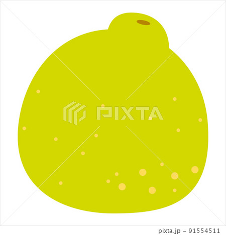 Cartoon cute bright colors fruits. Pomelo isolated on white background, flat design, vector, illustration, EPS10 91554511