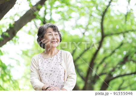 公園で散歩するシニア女性 公園で散歩するシニア女性 91555046